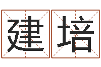 孟建培佳名阐-塔罗牌占卜事业