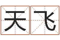 吴天飞用名字算命-装修公司取名