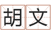 胡文赐命邑-免费起名管