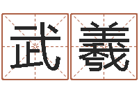 武羲问忞巧-房屋装修与风水