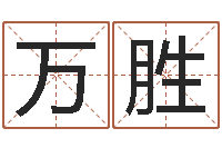 王万胜启命语-生辰八字起名软件