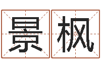 付景枫车牌号码吉凶-房子装修效果图