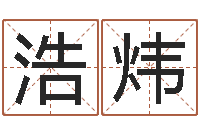 李浩炜就命王-公司起名技巧