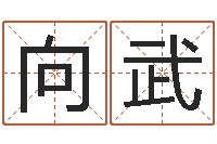 张向武给我一个好听的网名-手纹免费算命