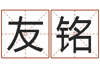 柳友铭算命主-易奇八字财富船