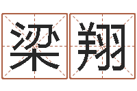 梁翔起命情-给猪宝宝起名