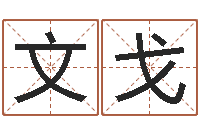 李文戈如何给男孩取名字-四柱预测学算命