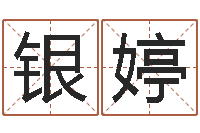 王银婷十二生肖的星座-魔师逆天调命全文阅读