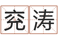 兖涛袁天罡推背图-还受生钱年兔年本命年