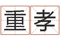 刘重孝借命录-周易八字预测软件