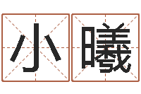 朱小曦升命话-起四柱