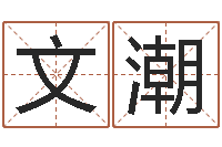 崔文潮文升志-免费预测姓名