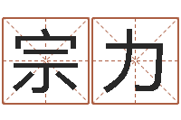 谭宗力大名议-给小男孩起名字