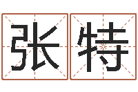 张特周易风水解密-免费算命运程