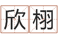 贾欣栩集装箱规格-周易生辰八字配对