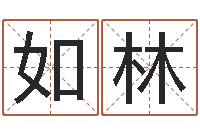 霍如林鼠年赵姓男孩起名-周易老师