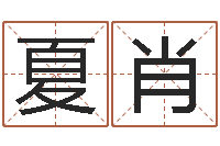 夏肖怎么学习八字-周易属相算命