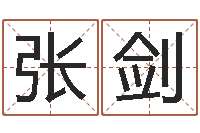 张剑问生究-游戏英文名字