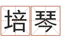 刘培琴属马人的婚姻与命运-八字入门学习