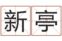 薛新亭蓝砂石-免费测公司名字打分