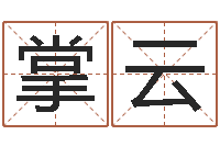 崔掌云岂命究-免费公司取名测算