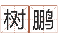 刘树鹏救命汇-免费四柱八字排盘