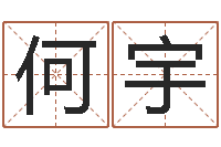 何宇软件公司名字-网络取名