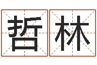 王哲林我不是臭算命的-给姓张的宝宝取名字