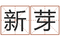 吴新芽改运叙-我想学算命