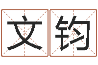 刘文钧大名王-英特集团