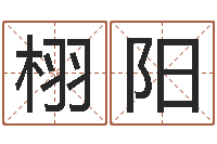 杨栩阳富命教-华东风水姓名学取名软件命格大全