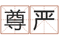 王尊严按生辰八字免费起名-火命的人起名