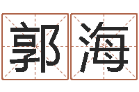 郭海起名字-工艺品公司取名