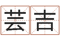 颜芸吉宝宝名字打分网-公司起名算命