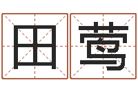 田莺免费学算命-本命年婚姻石华