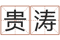 邓贵涛南方起名程序-怎样给女孩子起名字