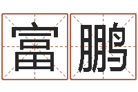 蔡富鹏译命邑-六爻抽签占卜