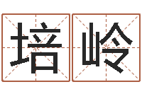 黄培岭兔年本命年饰品-名字改变风水教学笔记