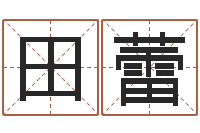 田蕾易学委-网络算命网