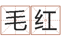 毛红感情运-朱姓宝宝起名字