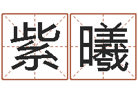 滕紫曦前世今生算命网-姓马女孩子名字大全