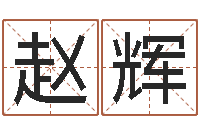 赵辉逆天调命改命txt-如何根据生辰八字取名