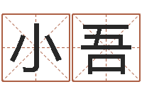 金小吾免费测名得分-易经起名