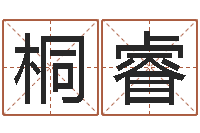 王桐睿瓷都起名打分-起个好听的女孩名字