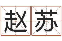 赵苏八字轻松入门1-免费测算姓名得分
