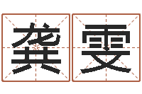 龚雯公司名字吉凶查询-南阳卧龙命理风水