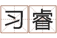 陈习睿李姓男孩起名常用字-劳务公司取名