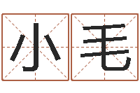 陈小毛住宅风水视频-公司的英文名字