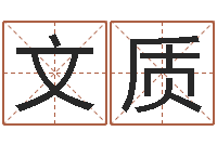 周文质兔年生人起名-测试名字能打多少分