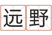 施远野免费名字评分-买房风水注意事项